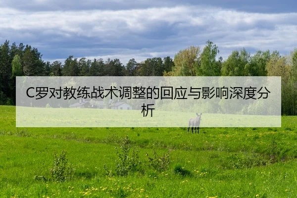 luo-dui-jiao-lian-zhan-shu-tiao-zheng-de-hui-ying-yu-ying-xiang-shen-du-fen-xi-2-356.jpg