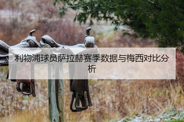 利物浦球员萨拉赫赛季数据与梅西对比分析